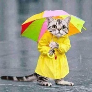 Meet your Posher, Shop